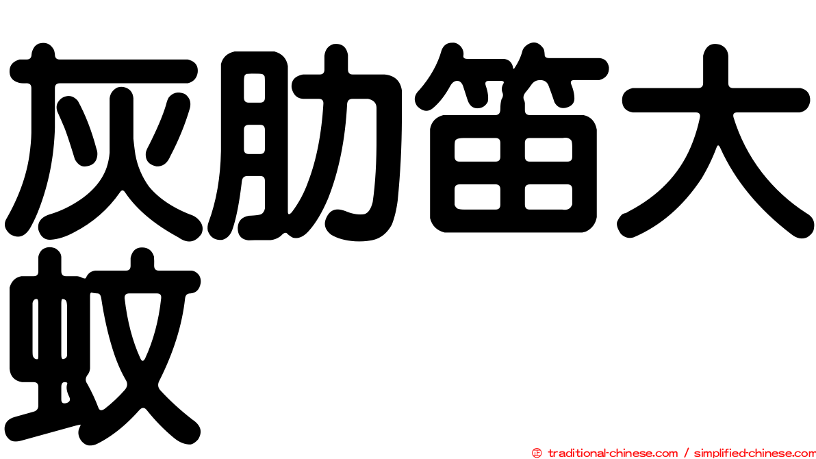 灰肋笛大蚊