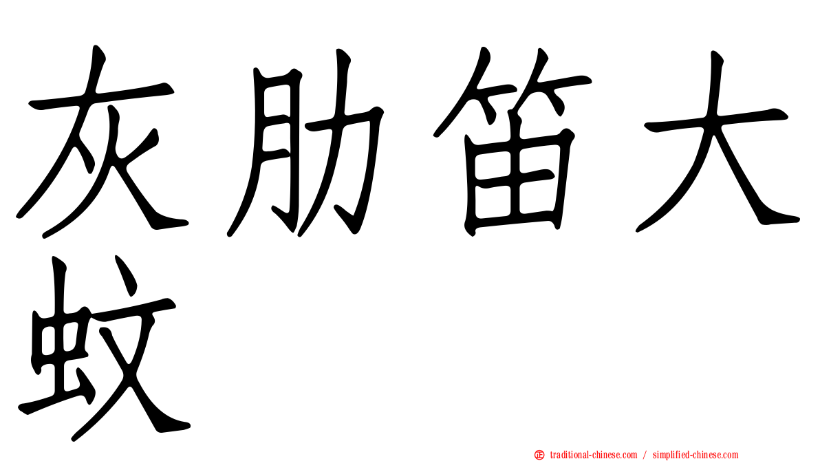 灰肋笛大蚊