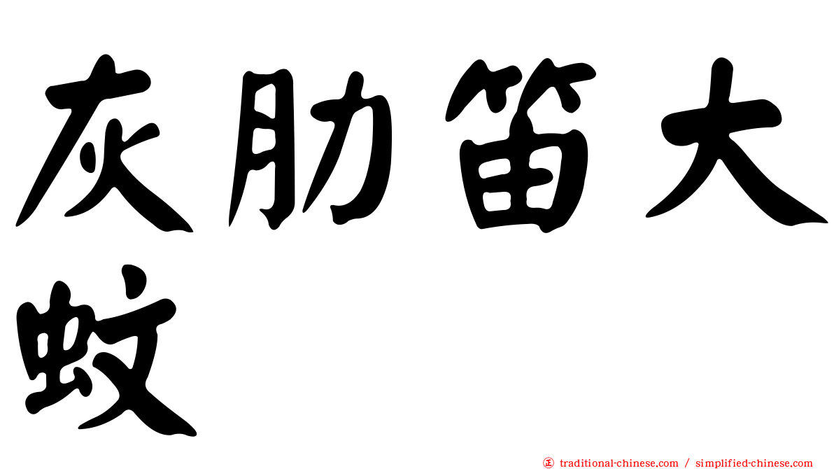 灰肋笛大蚊