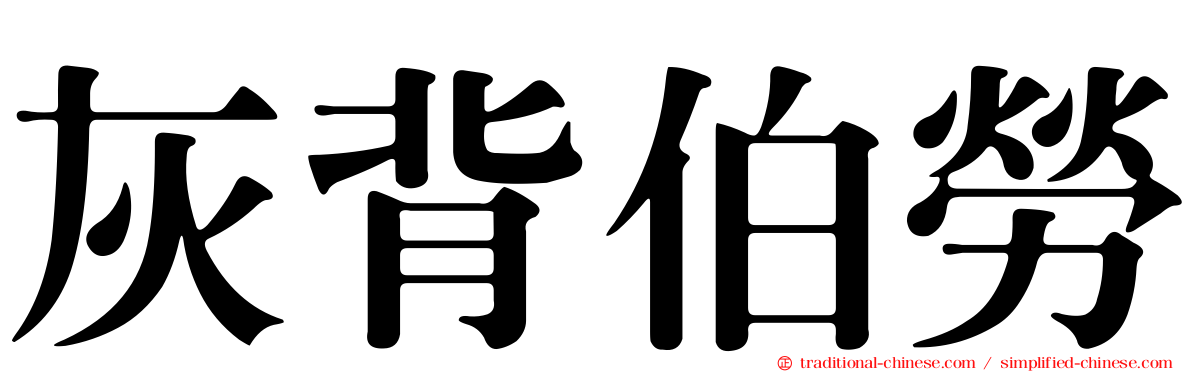 灰背伯勞