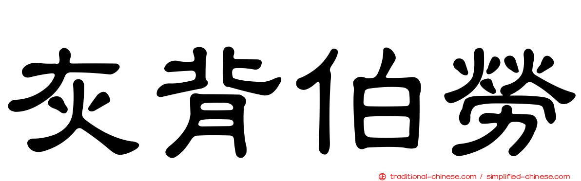 灰背伯勞