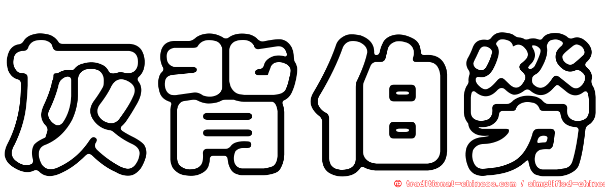 灰背伯勞