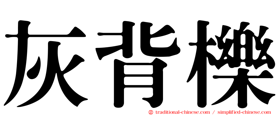 灰背櫟