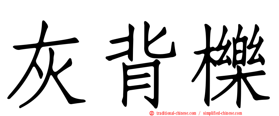 灰背櫟