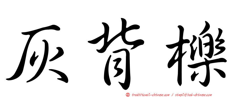 灰背櫟