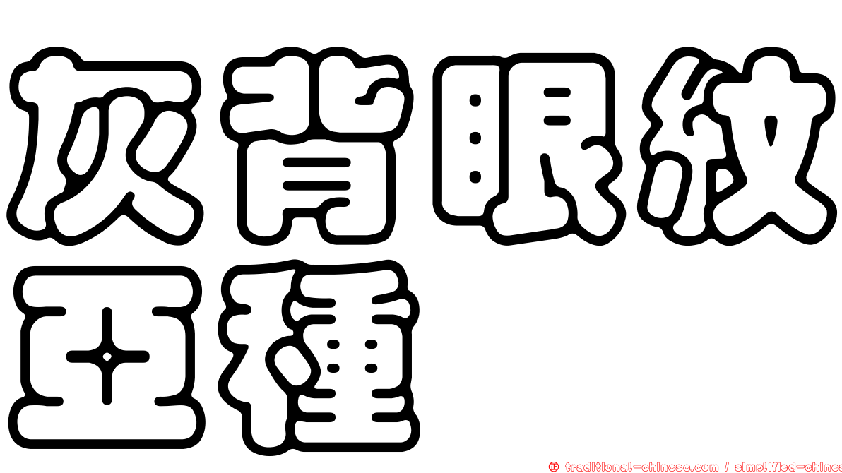 灰背眼紋亞種