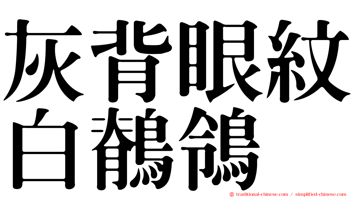 灰背眼紋白鶺鴒