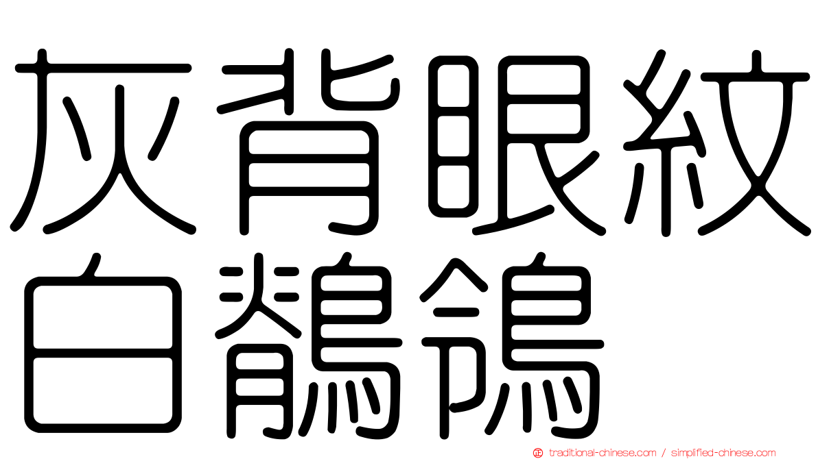 灰背眼紋白鶺鴒