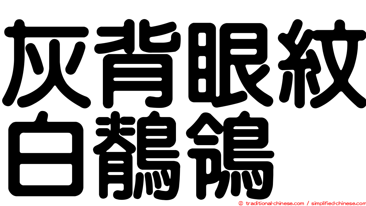 灰背眼紋白鶺鴒