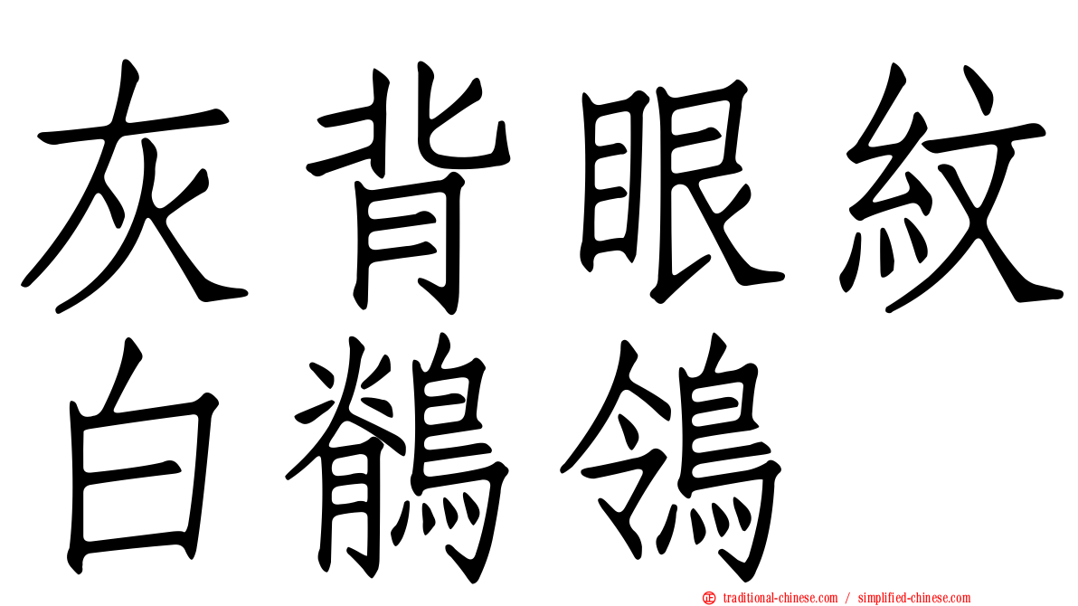 灰背眼紋白鶺鴒