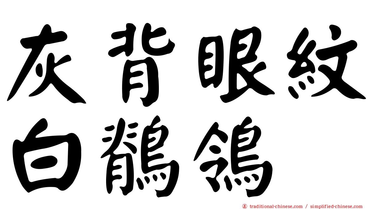 灰背眼紋白鶺鴒