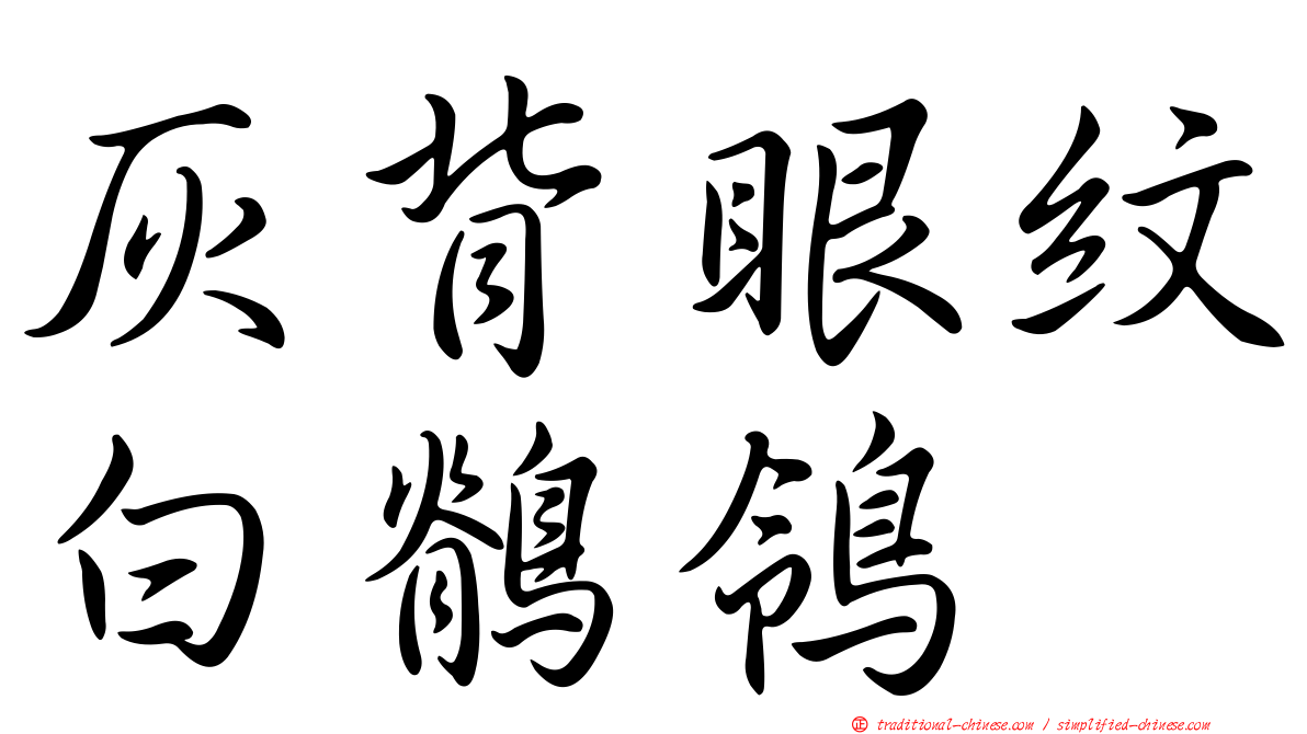 灰背眼紋白鶺鴒