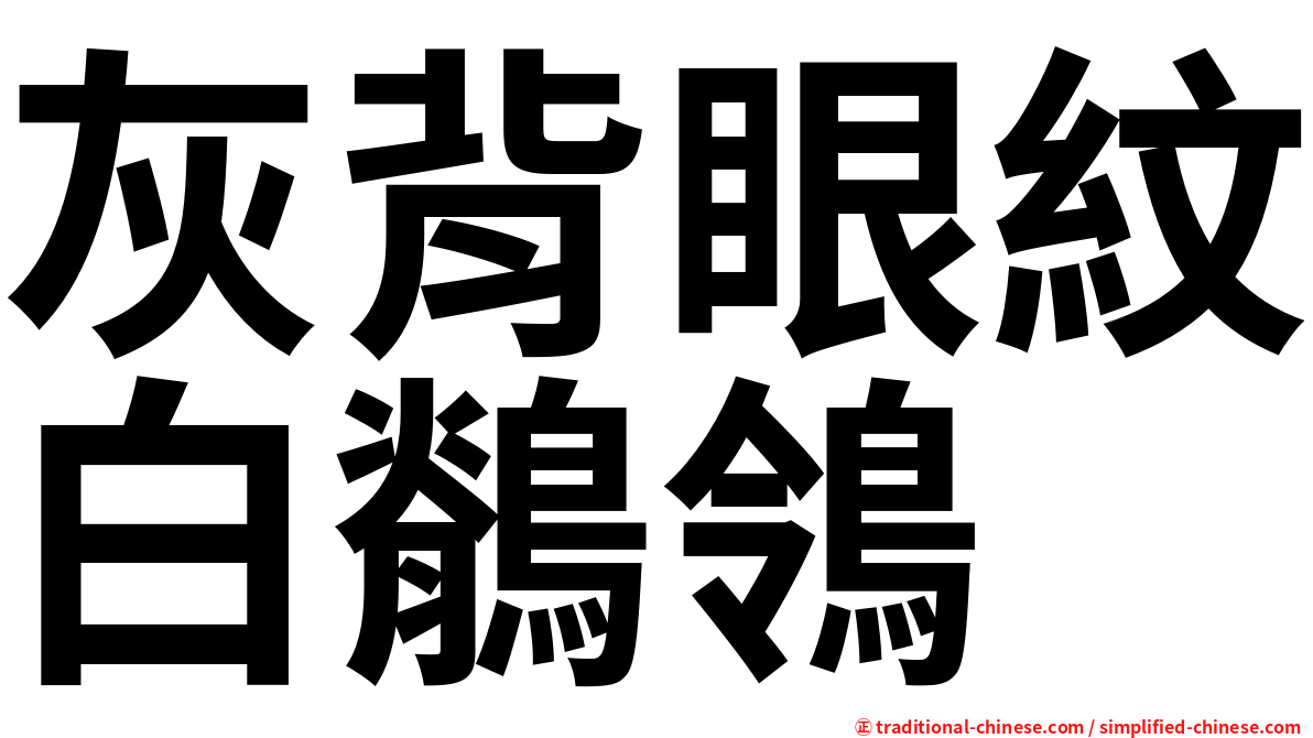 灰背眼紋白鶺鴒