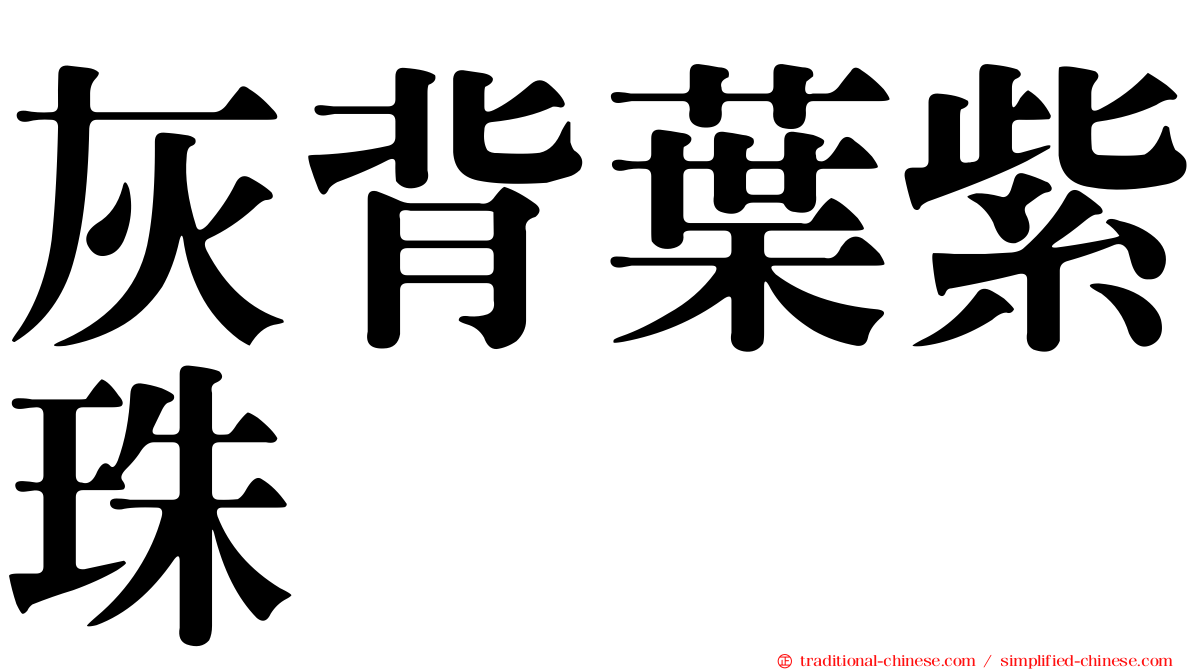 灰背葉紫珠