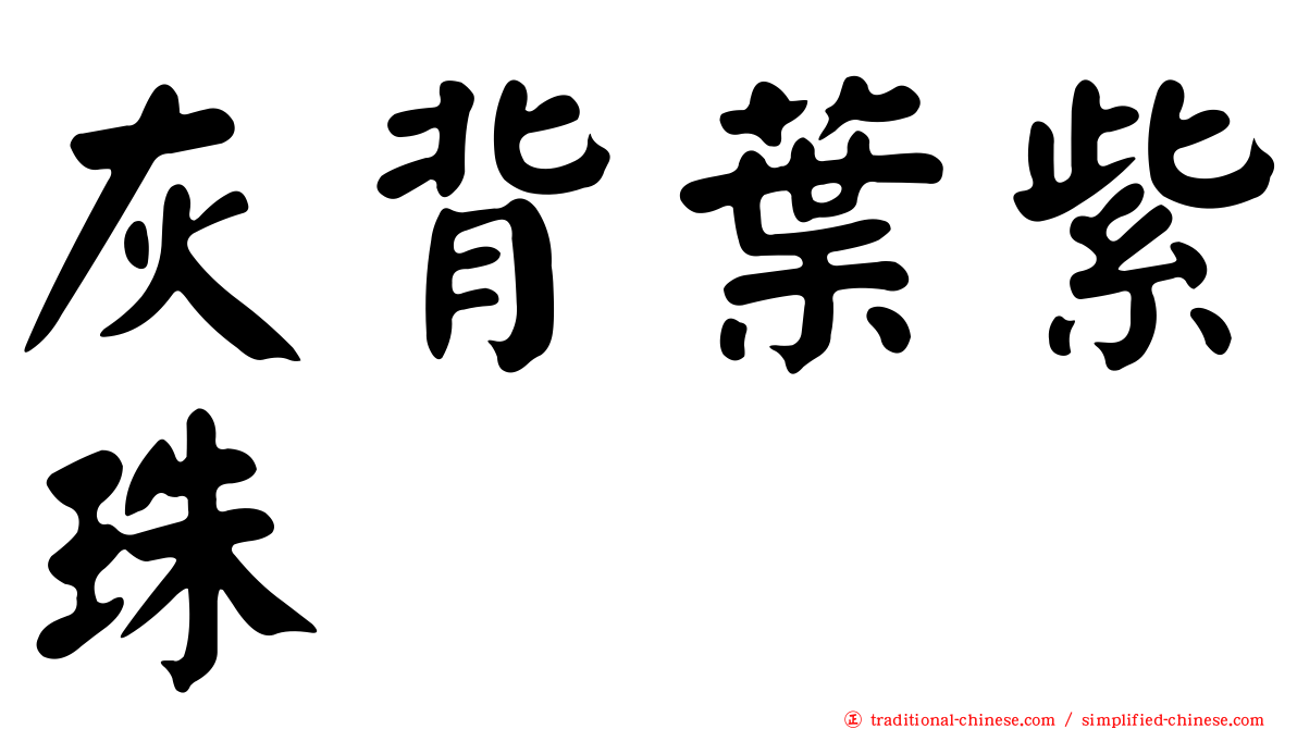 灰背葉紫珠