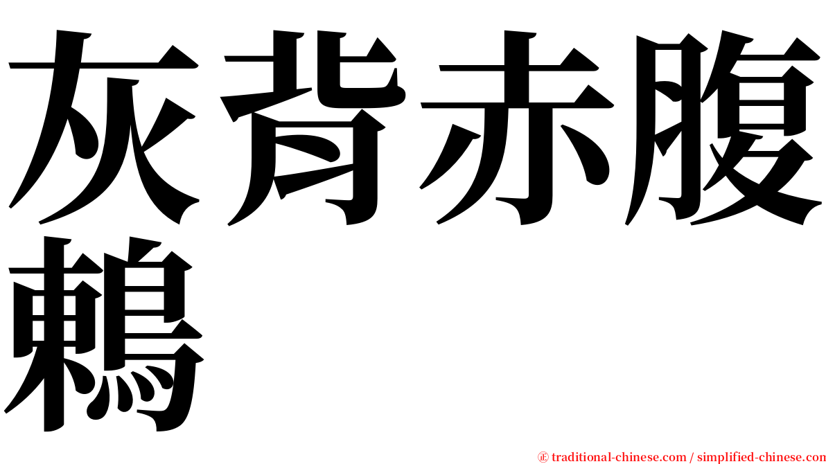 灰背赤腹鶇 serif font