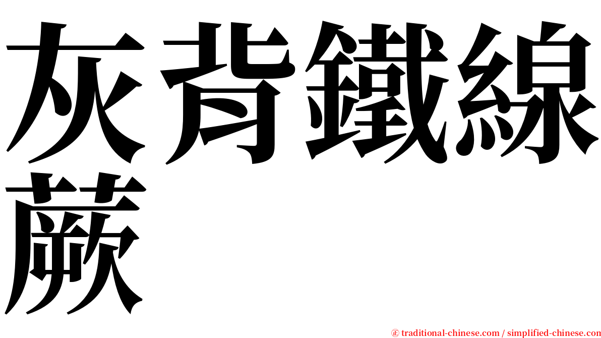 灰背鐵線蕨 serif font