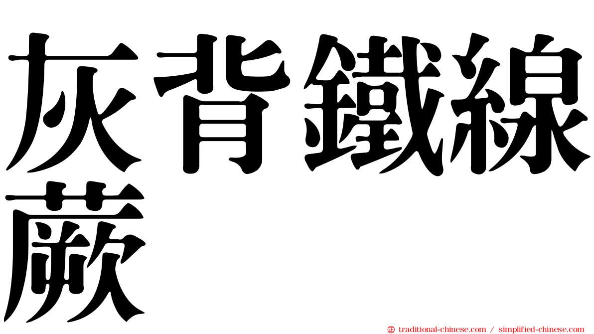 灰背鐵線蕨