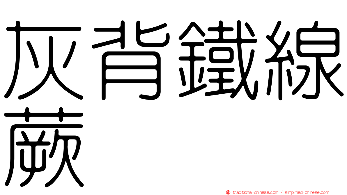 灰背鐵線蕨