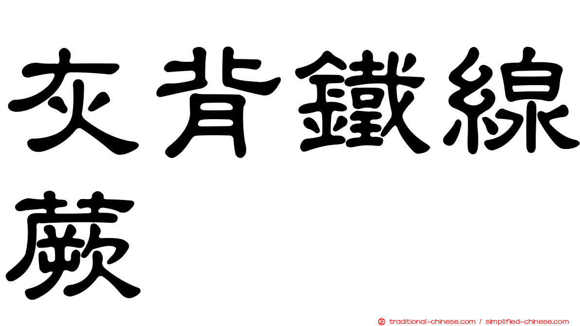 灰背鐵線蕨