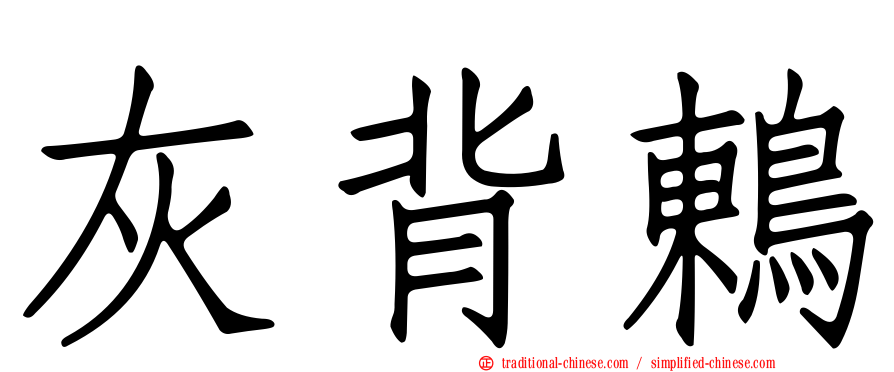 灰背鶇