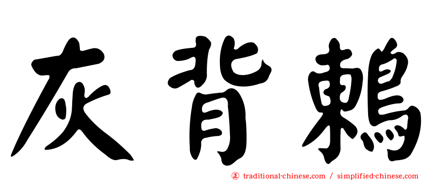 灰背鶇