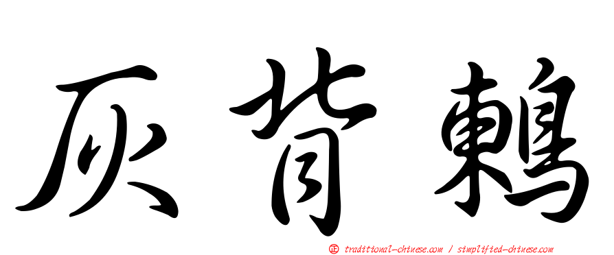 灰背鶇