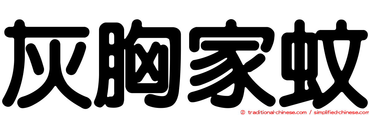 灰胸家蚊