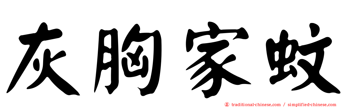 灰胸家蚊