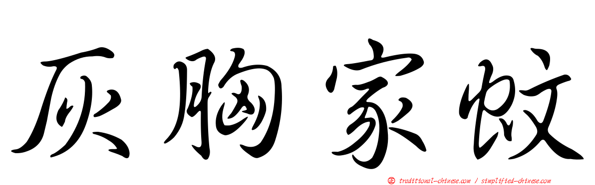 灰胸家蚊