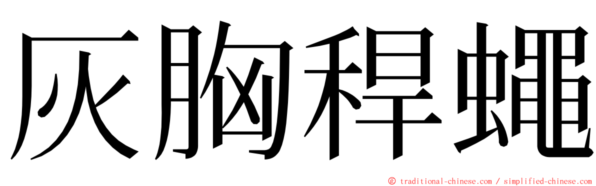 灰胸稈蠅 ming font