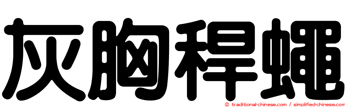 灰胸稈蠅