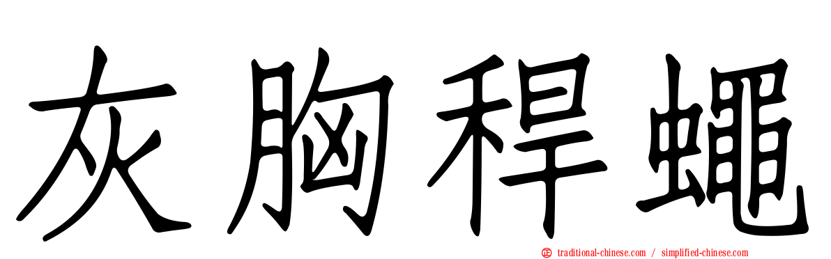 灰胸稈蠅