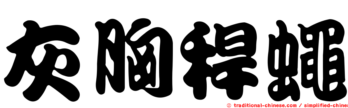 灰胸稈蠅