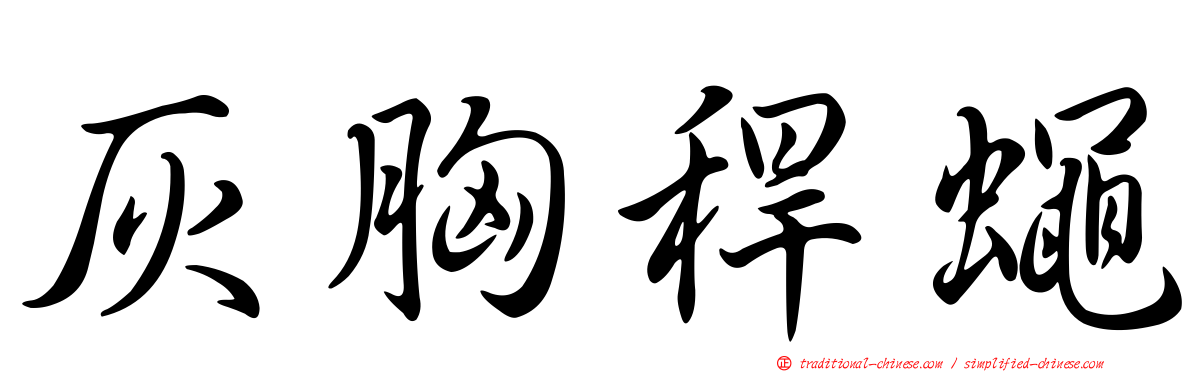 灰胸稈蠅