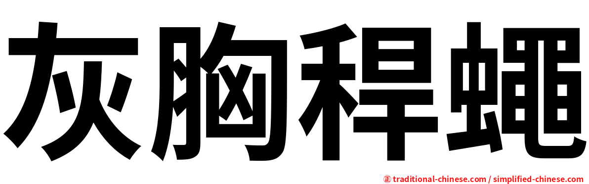 灰胸稈蠅