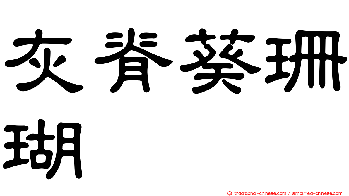 灰脊葵珊瑚