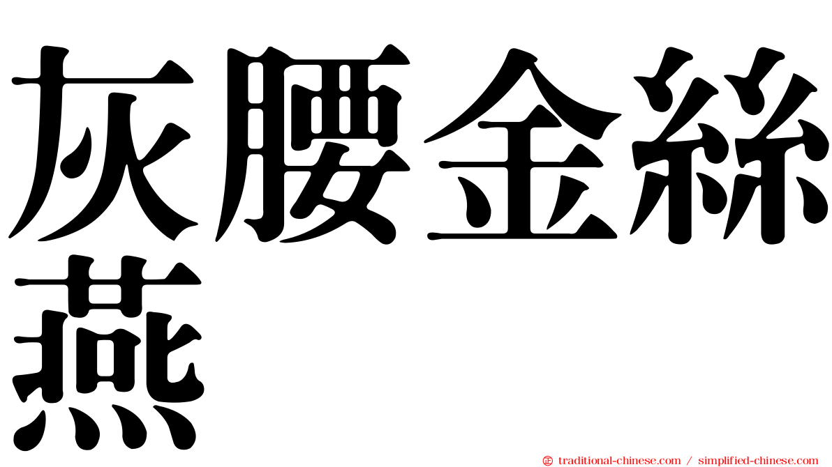 灰腰金絲燕