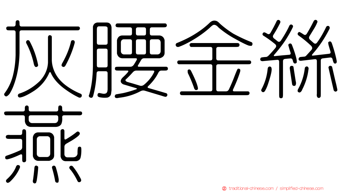 灰腰金絲燕