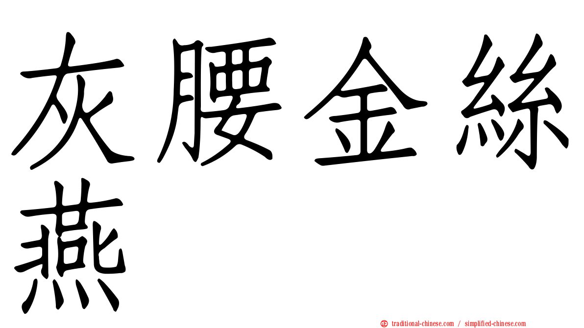 灰腰金絲燕