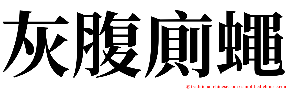 灰腹廁蠅 serif font