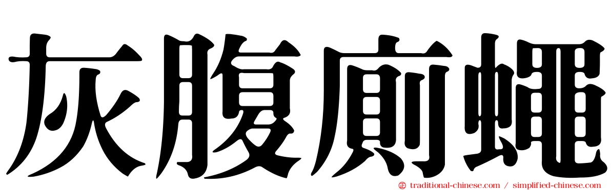灰腹廁蠅