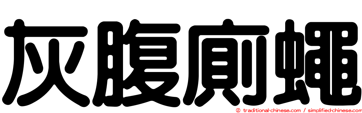 灰腹廁蠅