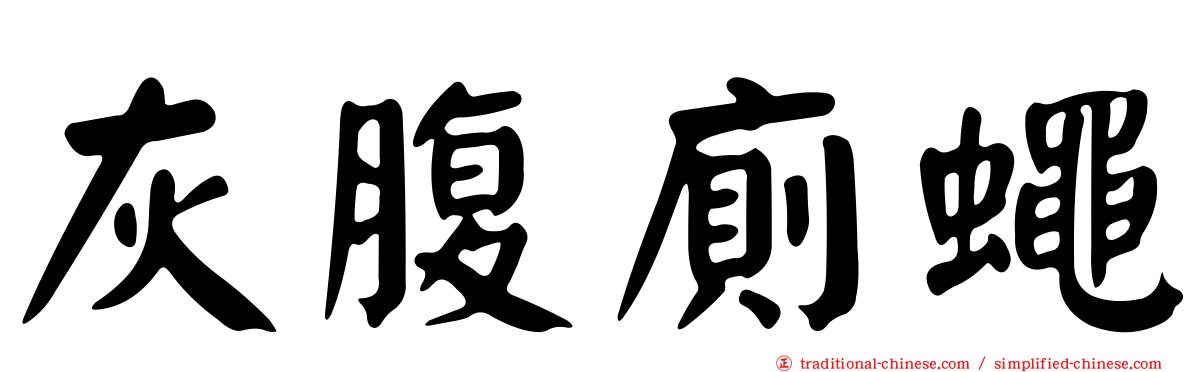 灰腹廁蠅
