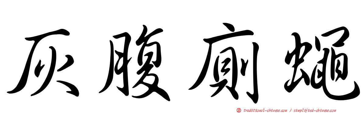 灰腹廁蠅