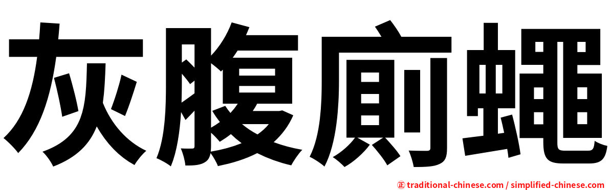 灰腹廁蠅