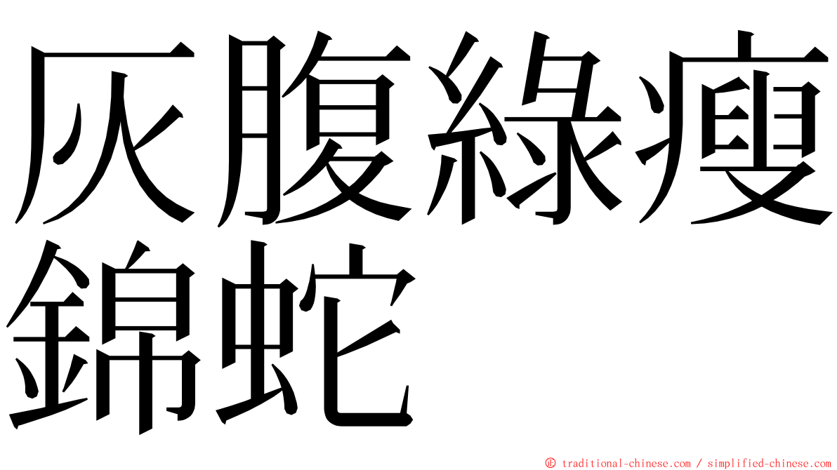 灰腹綠瘦錦蛇 ming font