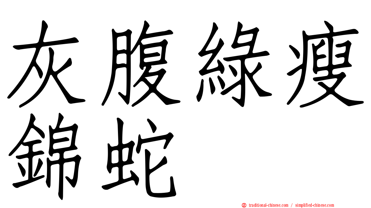 灰腹綠瘦錦蛇