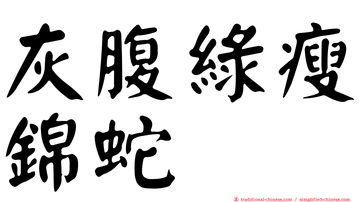 灰腹綠瘦錦蛇