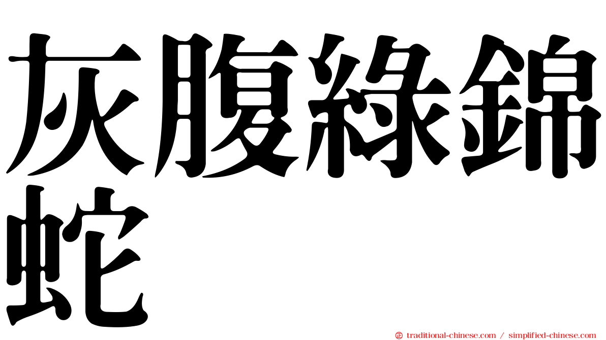 灰腹綠錦蛇